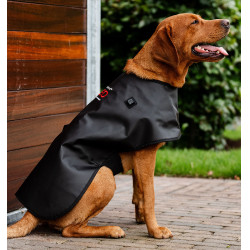 Manteau pour chien de Thérapie Horseware par lumière rouge LED Noir / noir Manteau pour chien de Thérapie Horseware par lumière rouge LED Noir / noir