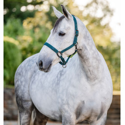 Licol et longe Horseware Vert dynastie Licol et longe Horseware Vert dynastie