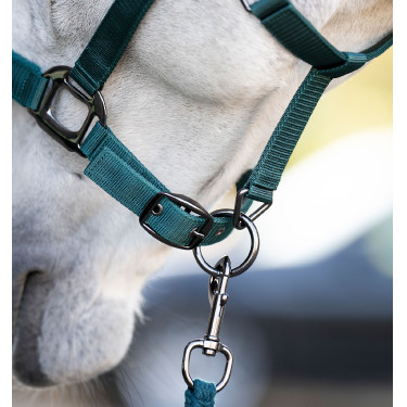 Licol et longe Horseware Vert dynastie Licol et longe Horseware Vert dynastie