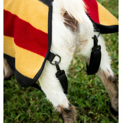 Couverture polaire Horseware Newmarket pour chèvre Or blanc