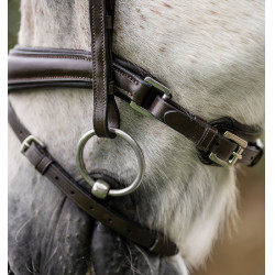 Bridon poney Horseware Flash Marron