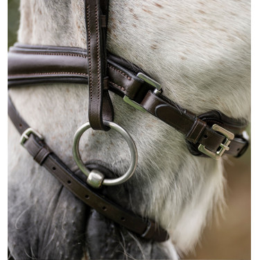 Bridon poney Horseware Flash Marron