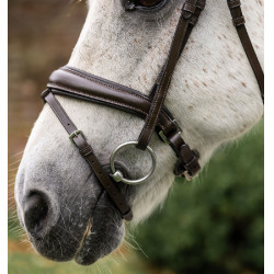 Paardenhoofdstel pony Horseware Flash Bruin Paardenhoofdstel pony Horseware Flash Bruin
