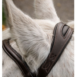 Paardenhoofdstel pony Horseware Flash Bruin Paardenhoofdstel pony Horseware Flash Bruin