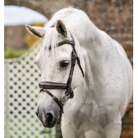 Paardenhoofdstel pony Horseware Flash Bruin