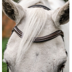 Paardenhoofdstel pony Horseware Flash Bruin