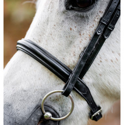 Bridon poney Horseware Cavesson Noir