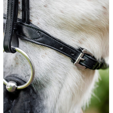 Ponyhoofdstel Horseware Cavesson Zwart Ponyhoofdstel Horseware Cavesson Zwart