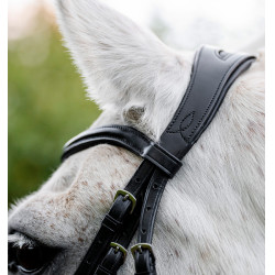 Bridon poney Horseware Cavesson Noir