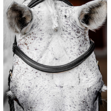 Hoofdstel Horseware Micklem Competition Zwart