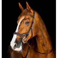 Hoofdstel Horseware Micklem Competition Zwart