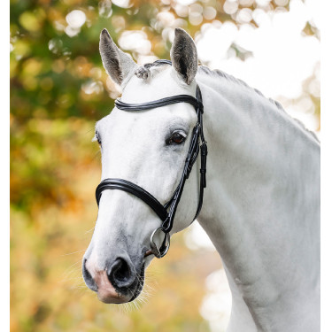 Hoofdstel Horseware Cavesson Zwart