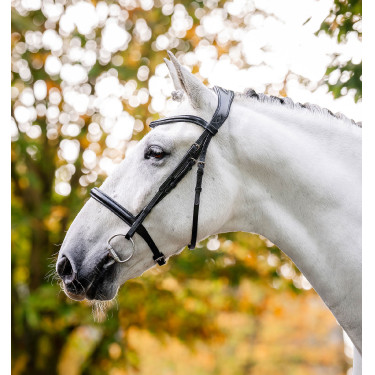 Bridon Horseware Cavesson Noir