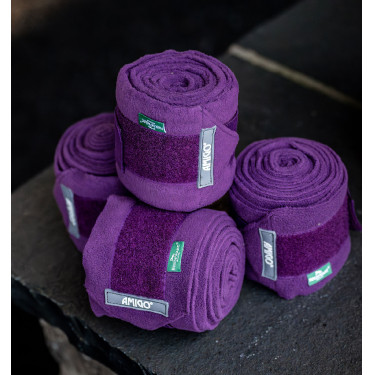 Bandes de polo Horseware Amigo Winterberry Violet
