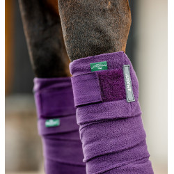 Bandes de polo Horseware Amigo Winterberry Violet