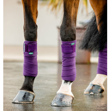 Horseware Amigo poloschoenen Winterberry Violet