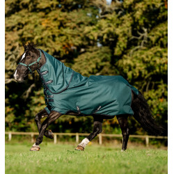 Couverture Horseware Amigo Ripstop 900D Plus Poney Turnout 50g Vert dynastie / marine / argent