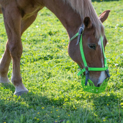 Panier Greenguard Vert fluo ancien modèle