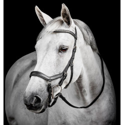 Bridon Horseware Micklem Diamante Competition Noir Bridon Horseware Micklem Diamante Competition Noir