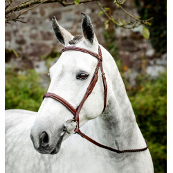 Bridon Horseware Cavesson Hunter avec rênes Marron