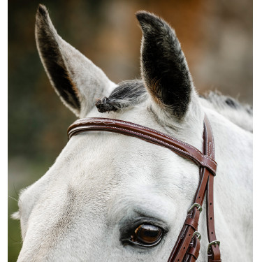 Bridon Horseware Cavesson Hunter avec rênes Marron