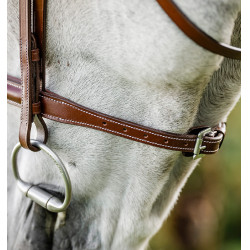 Bridon Horseware Cavesson Hunter avec rênes Marron