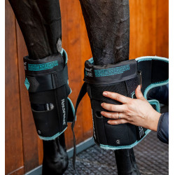 Horseware Ice-Vibe kniebeschermers Zwart / aqua
