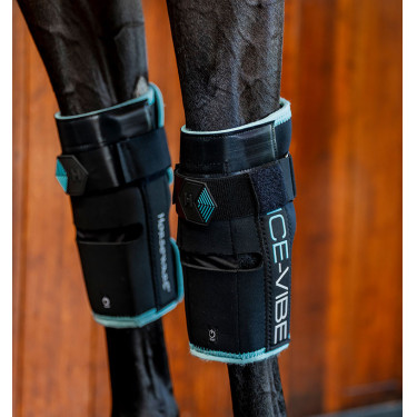 Protège-genoux Horseware Ice-Vibe Noir / aqua