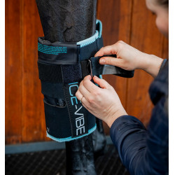 Protège-genoux Horseware Ice-Vibe Noir / aqua