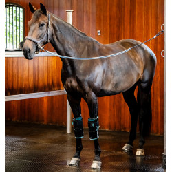 Horseware Ice-Vibe kniebeschermers Zwart / aqua