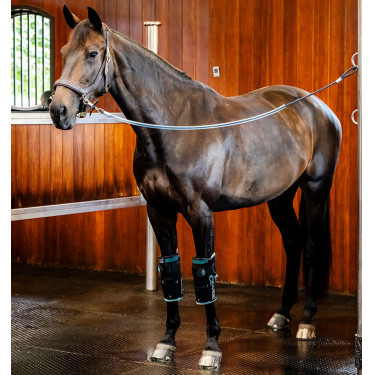 Horseware Ice-Vibe kniebeschermers Zwart / aqua