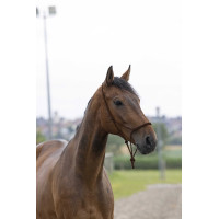 LICOL CORDE FIRST Beige LICOL CORDE FIRST Beige