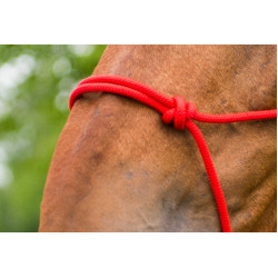 Licol corde first Rouge Licol corde first Rouge