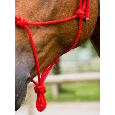 Licol corde first Rouge Licol corde first Rouge