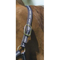 Nylon halster met lederen voering Norton Marine / hemelblauw