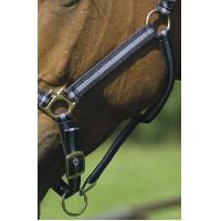 Licol nylon doublé cuir Norton Vert clair Licol nylon doublé cuir Norton Vert clair