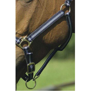 Nylon halster met lederen voering Norton Marine / hemelblauw