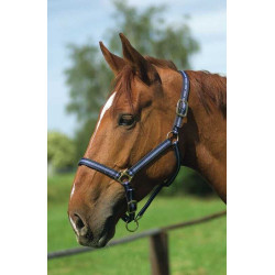 Nylon halster met lederen voering Norton Marine / hemelblauw