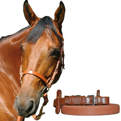 Bride de course Canter