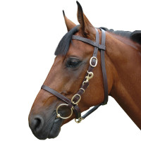 Bridon halster groot Chetak Bruin