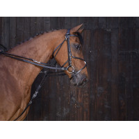 Lederen gogue-teugels Riding World Havana Bruin