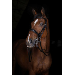 Teugels van hoofdstel Eric Thomas Elite 13 mm Zwart