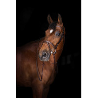 Teugels Hunter Eric Thomas Elite 16 mm Havana Bruin Teugels Hunter Eric Thomas Elite 16 mm Havana Bruin