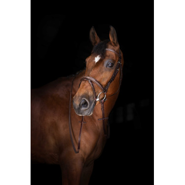 Teugels Hunter Eric Thomas Elite 16 mm Havana Bruin