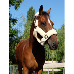 Halster Equithème Teddy Choco / ecru Bruin