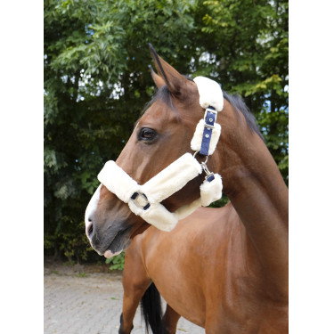 Halster Equithème Teddy Marine / écru → Marine / ecru Blauw
