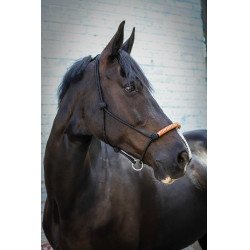 Ethologisch halster Pénélope Amerikaans Zwart Ethologisch halster Pénélope Amerikaans Zwart