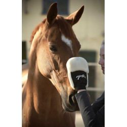 Gant de pansage Pénélope Noir