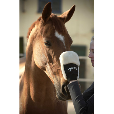 Gant de pansage Pénélope Noir