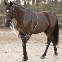 Enrênement Soft Rope Canter Marine / blanc Bleu Enrênement Soft Rope Canter Marine / blanc Bleu